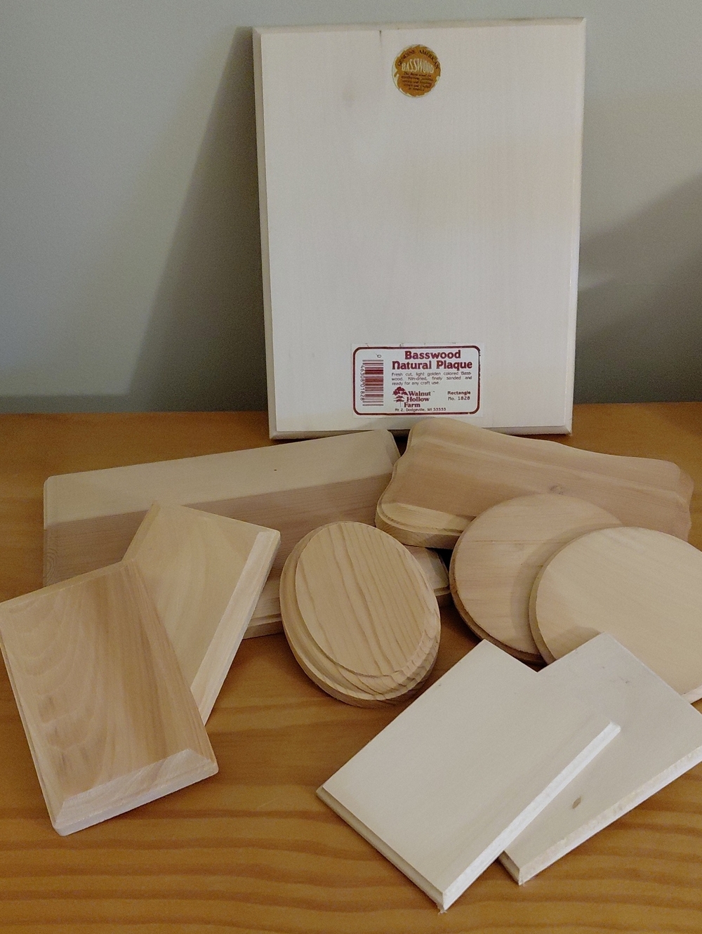 10 NEW Assorted Wood /Basswood Natural Plaques and Blanks For Crafting Projects